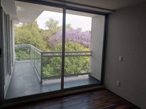 Imagen 10 de 13 de Coyoacán Con Vista Al Parque