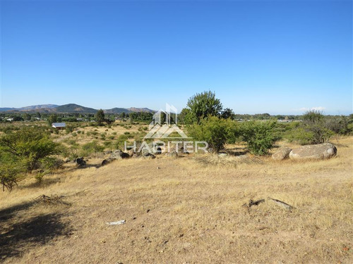 Imagen 22 de 24 de Agrícola En Venta En Maule
