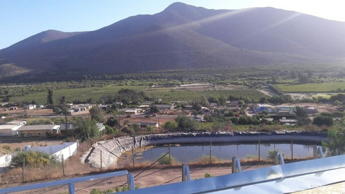 Fundo Productivo Palta Hass Con Derechos De Agua Y Estanques