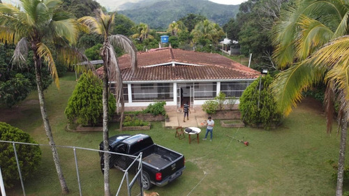 Imagen 9 de 9 de Finca En Venta Bejuma Altos De Reyes Carabobo Gavip
