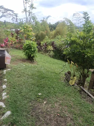 Pequeña Finca Bien Ubicada