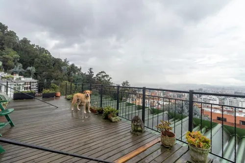 Apartamento En Venta En Los Rosales. Cod V22632