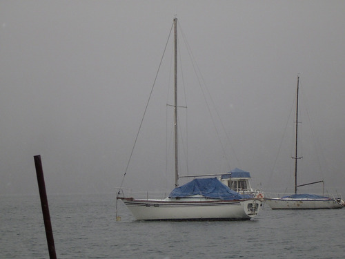Velero Repunte 88