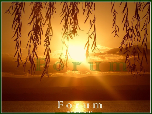 Imagen 7 de 9 de Lotes Calamuchita