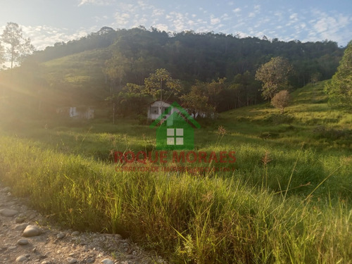Imagem 16 de 29 de Sítio À Venda No Vale Do Ribeira Sp Medindo 30 Alqueires Paulista Ref 0990