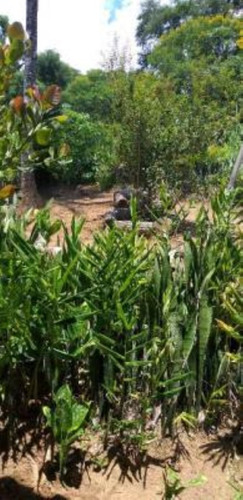Imagem 21 de 23 de Chácara Em Itariri, No Bairro Igrejinha, Com 2.450 M² De Área Total E Com Cachoeira Próximo A Chácara E Vaga Para 10 Automóveis Ref: 9573/ac
