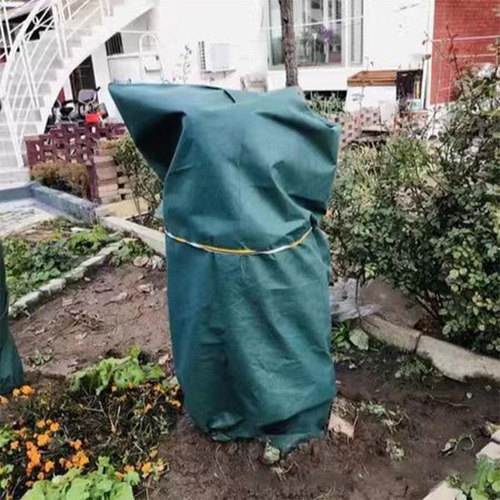 Cubiertas Para Plantas Para Invierno Cubierta De Invierno Pa