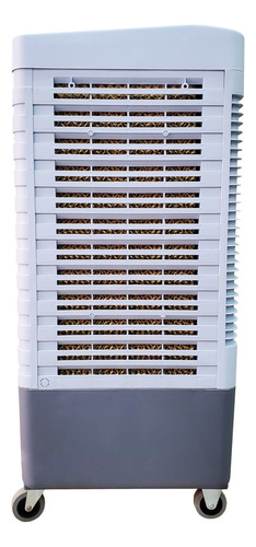 Climatizador portátil frío Practicool PTC3600 blanco/gris 127V