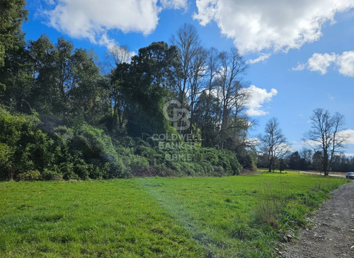 Parcela Soñada En Frutillar: Agua, Luz Y Entorno Natural