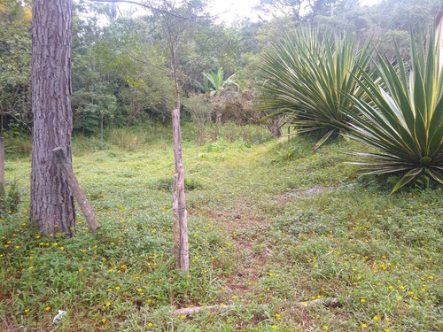 Imagem 5 de 14 de Chacrinha Moleza 3.000metros Com Casa