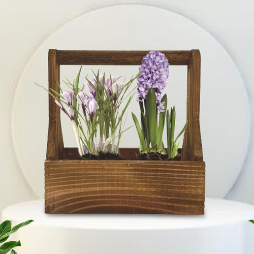 Maceta De Madera Práctica, Sencilla Y Estable, Ideal Para