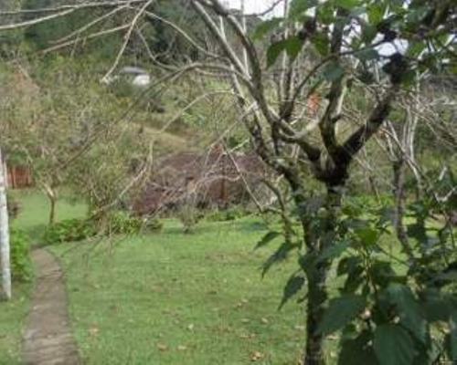 Chacara - 03407 - 33228877