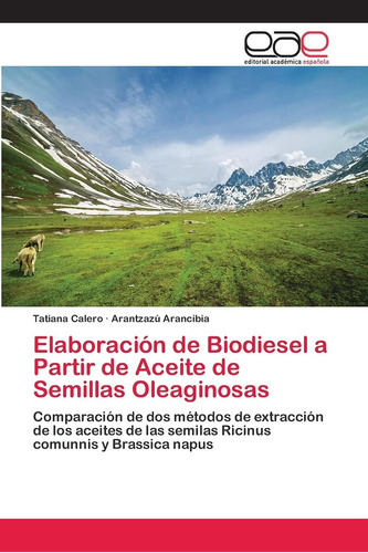 Libro: Elaboración De Biodiesel A Partir De Aceite De Semill