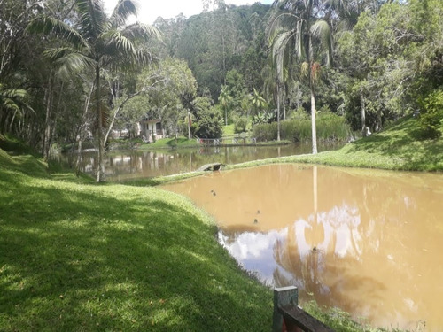 Imagem 4 de 15 de Sitio - 403 - 69427609