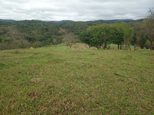 Imagem 9 de 14 de 16- 800m A Venda Em Arujá - Santa Isabel