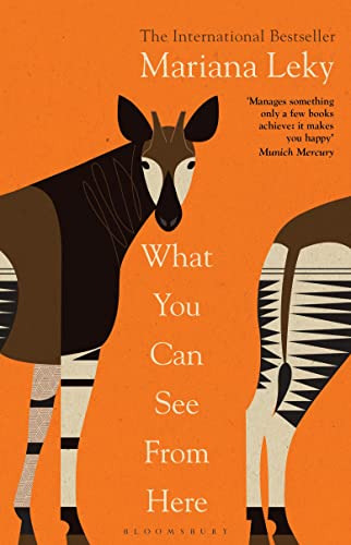 Libro What You Can See From Here De Leky, Mariana