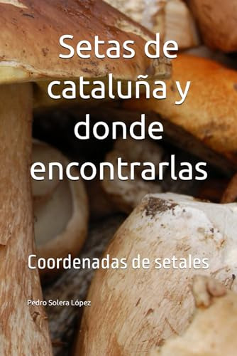 Setas De Cataluña Y Donde Encontrarlas