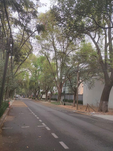 Imagen 4 de 15 de Terreno Polanco.rectangular, Buen Frente. , Cerca De Reforma
