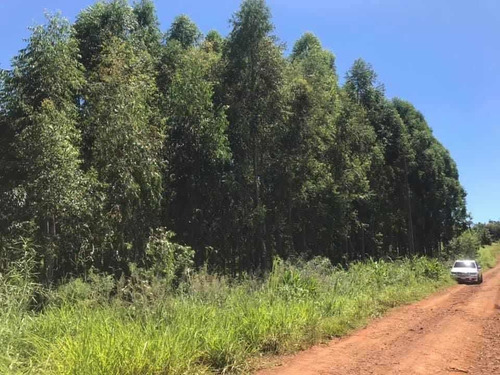 Imagen 15 de 16 de En Venta Parcela De 17 Hectáreas En Miranda