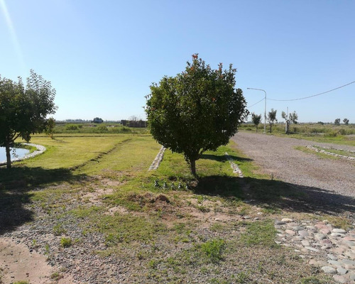 Imagen 8 de 10 de Lote Beltran Las Margaritas $10.000.-