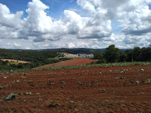 Imagem 5 de 12 de Lindo Terreno No Bairro Lageadinho. Cód 380.