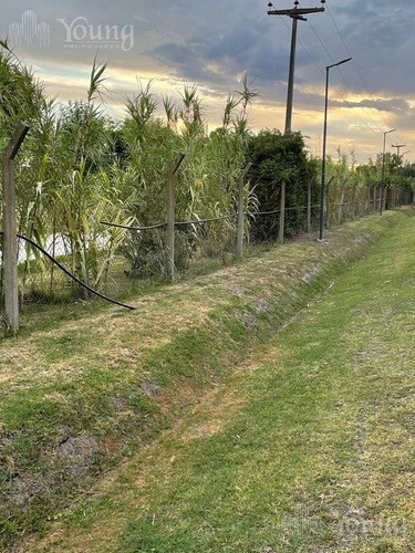 Imagen 15 de 19 de Retazado Terreno Proyecto Aprobado - Campos De Roca L