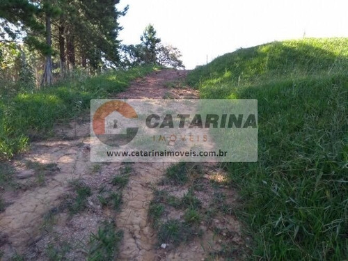 Imagem 3 de 10 de Belíssimo Terreno.
