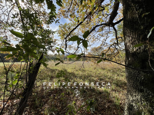 Parcela A 2.9km De Pucón