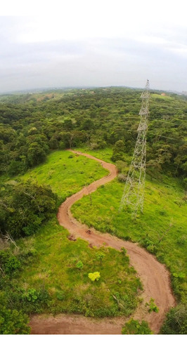 Filmagem Com Drone