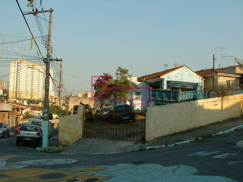Terreno Tatuapé São Paulo/sp - 1438