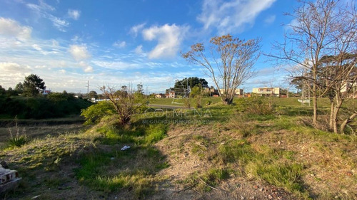 Imagen 4 de 12 de Imperdible Oportunidad De Inversión! Ideal Complejo Edilicio - Maldonado Bo. Cordoba
