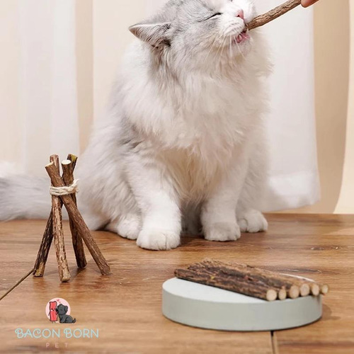 5 Unidades Matatabi Varas De Catnip Limpa Dentes Anti Stress