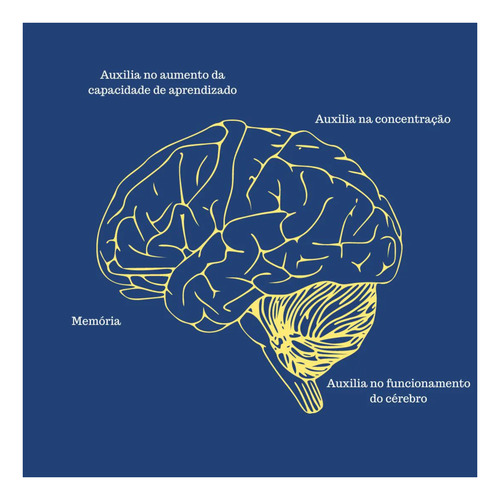 Neurofort Cognis Suplemento Ideal P/ Memória C60 Ecofitus Sem Sabor