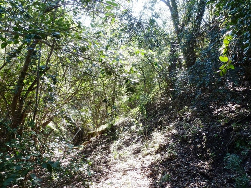 Reserva Oasis De La Campana, Ocoa