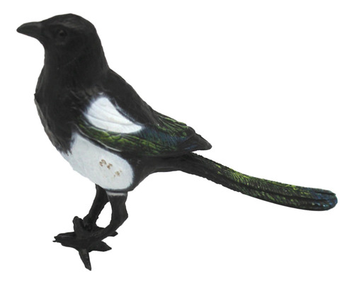 5 Urraca Simulación Pájaro Modelo Pájaro Emplumado,