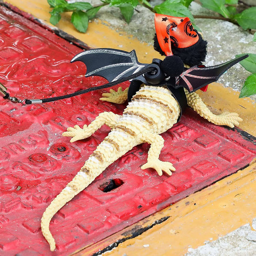 Xuniea 2 Sets Halloween Thanksgiving Bearded Dragon Lizard L