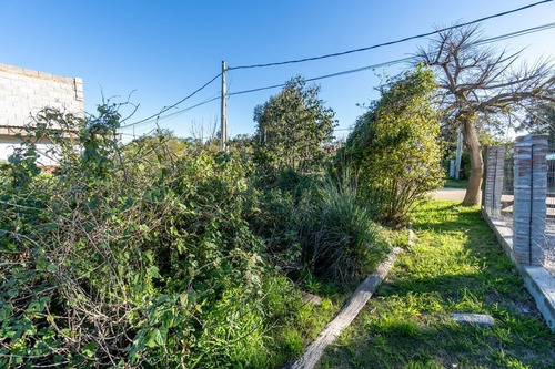 Imagen 3 de 7 de Muy Buen Terreno De 300m²