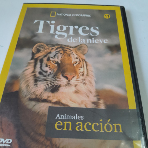 Dvd,national Geographic, Tigres De La Nieve,11,caballito 