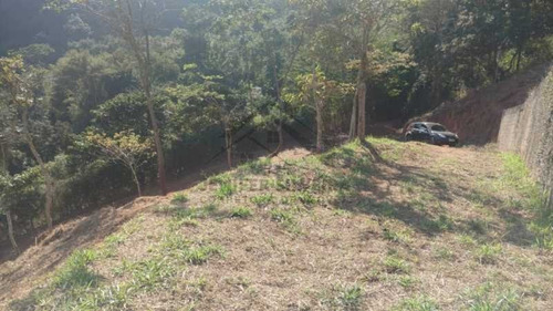 Imagem 15 de 15 de Lote / Terreno Em Corrêas - Petrópolis - 7595