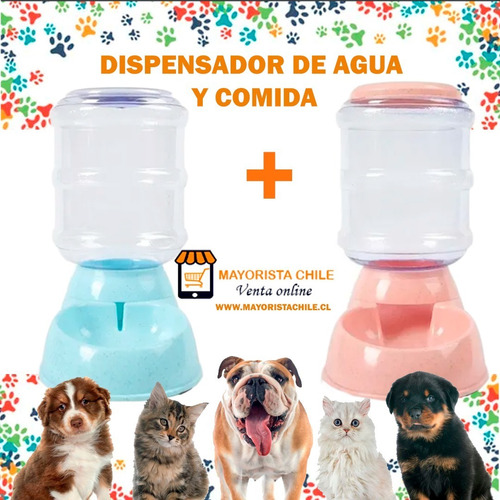 Pack Dispensador De Comida + Agua Automatico  Perros Y Gatos