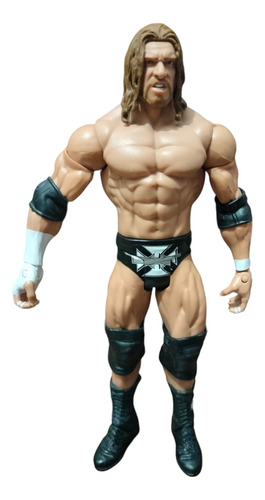Figura De Acción Mattel 2011 Wwe Triple H Wrestling Action