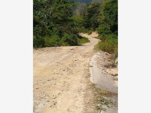 Imagen 4 de 6 de Terreno En Venta Yelapa