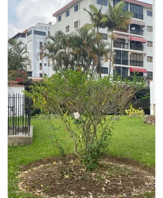 Apartamento en venta