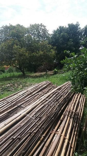 Imagem 3 de 8 de Terreno Para Venda Em Magé, Jardim Da Paz - Mauá - Terrenove_1-1016613