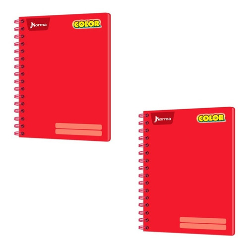 2 Cuadernos Profesional C.grande Doble Espiral Colors 360 Color Multicolor