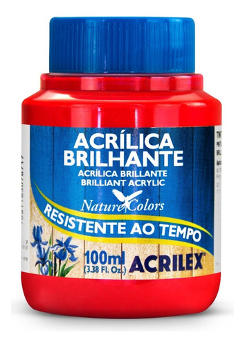 Tinta Acrilica Brilhante 100ml - Cores Cor VERMELHO FOGO 507