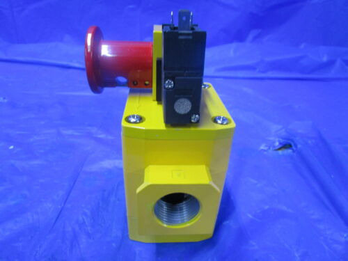 New Smc Soft Start Up Valve Avl5000-n10-5dzm Dc24v 0.2-1 Ccm