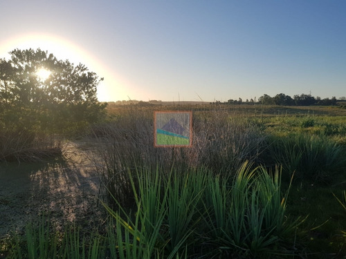 Imagen 7 de 12 de Chacra 7 Hás Rincón De José Ignacio