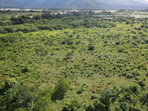 Finca En Venta Sabana De Parra Yaracuy Rah 23-14891 // Invierta Seguro Con Rentahouse//