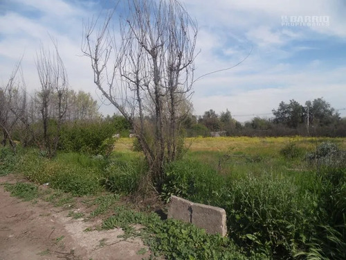 Sitio En Venta En Colina